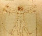 Vitruvian man - human proportions