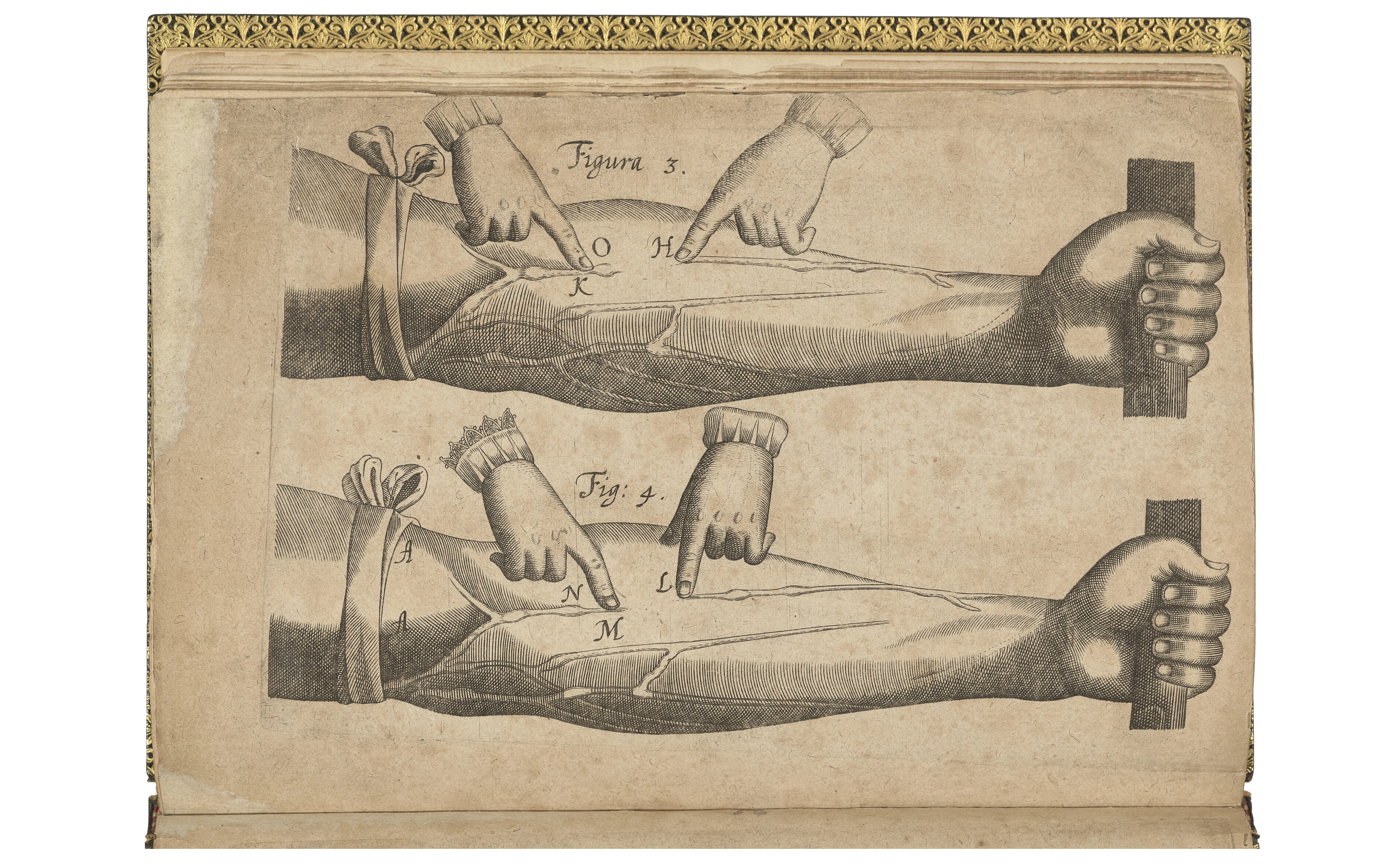 William Harvey’s Exercitatio anatomica de motu cordis et sanguinis in animalibus (Frankfurt, 1628). Source: Christie's London, auction's date: 10 December, 2025