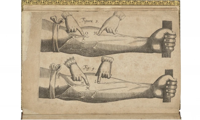 William Harvey’s Exercitatio anatomica de motu cordis et sanguinis in animalibus (Frankfurt, 1628). Source: Christie's London, auction's date: 10 December, 2025