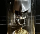 Dental Training Phantom by Columbia Dentoform, presented in a protective glass dome. Photo: Maxim Gorshkov