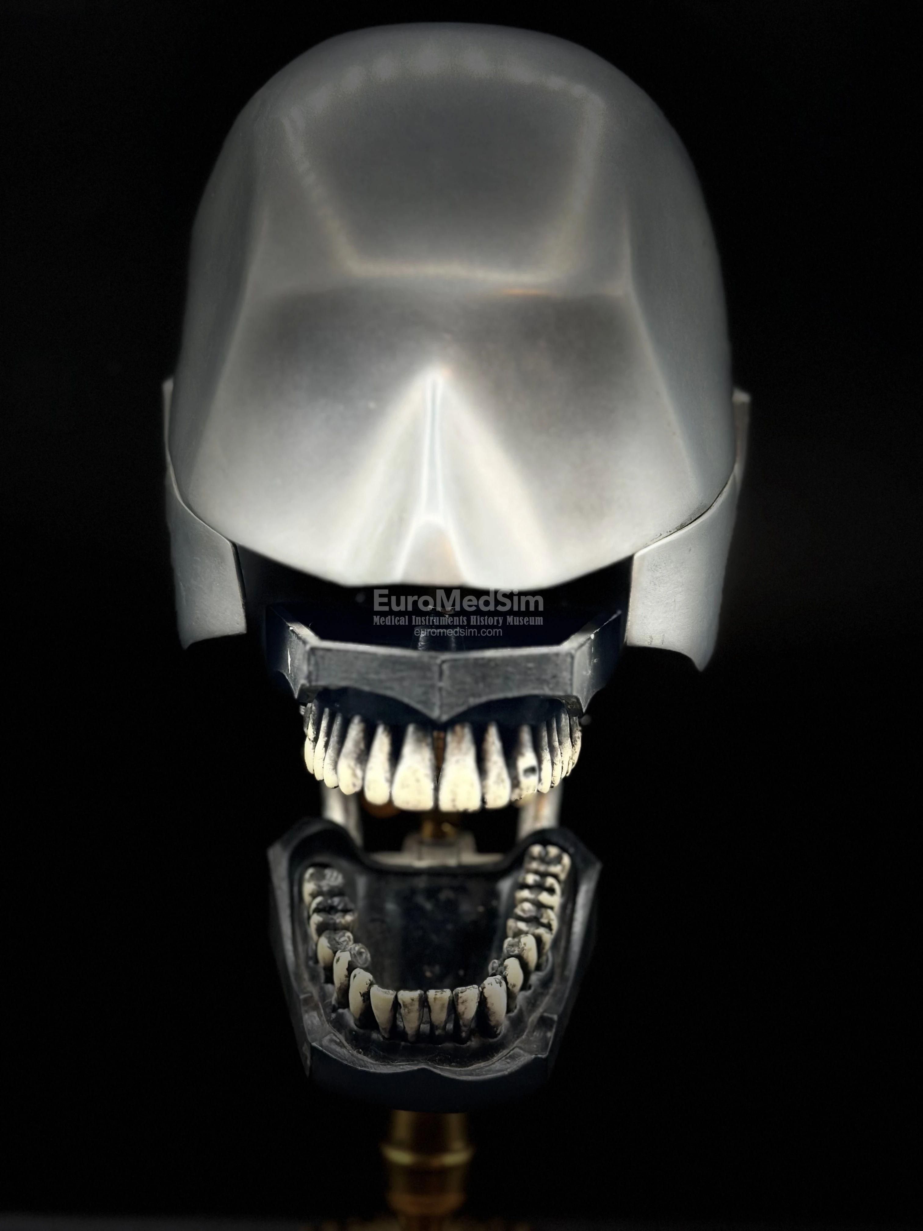 Dental Training Phantom R362 / COLUMBIA DENTOFORM CORP. NEW YORK. Photo: Maxim Gorshkov