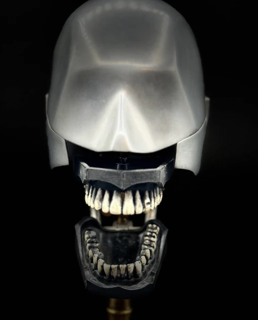 Dental Training Phantom R362 / COLUMBIA DENTOFORM CORP. NEW YORK. Photo: Maxim Gorshkov