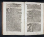 The introductory page to Paracelsus’s *Prophetic Figures*, in which the “Nuremberg Figures” are presented as images that should be interpreted not through ordinary reading, but through magical divination and the interpretation proposed by Paracelsus