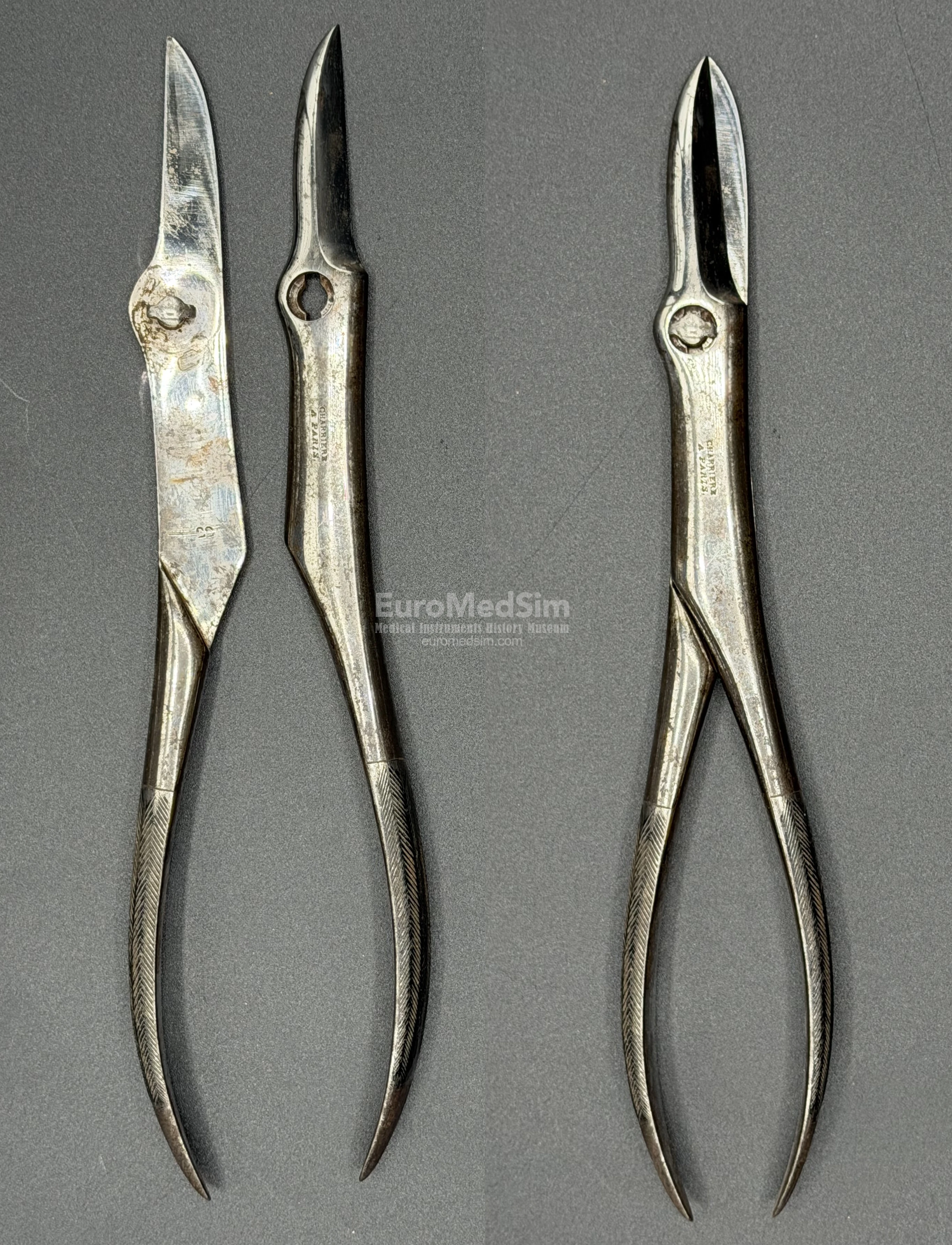 The bone pliers (marked CHARRIÉRE Á PARIS), detachable