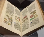 1491 Meydenbach’s Hortus Sanitatis, presented in the Wellcome Library of London