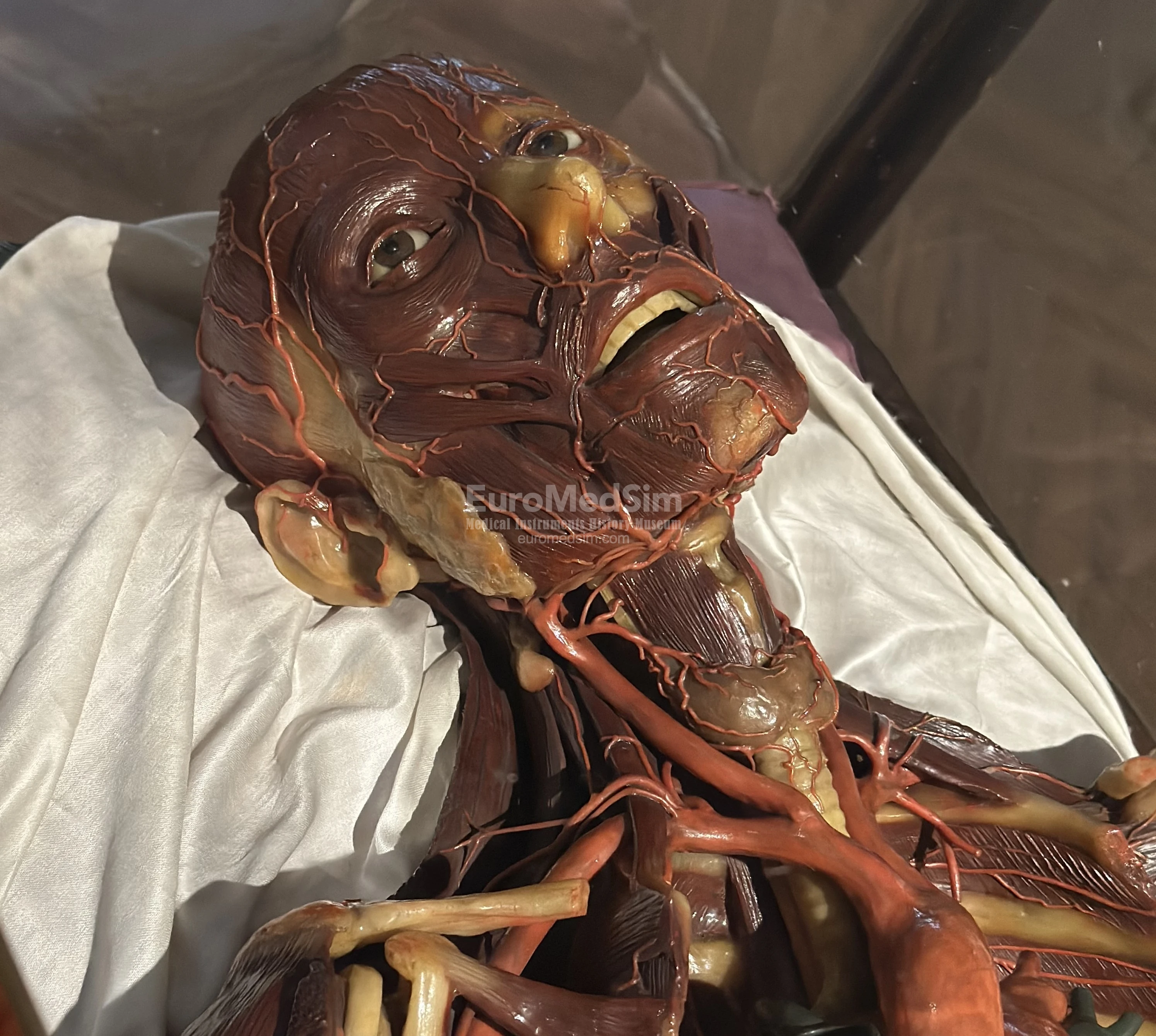 Wax male anatomical model. Josephinum, Medical History Museum Vienna. Photo: Maxim Gorshkov
