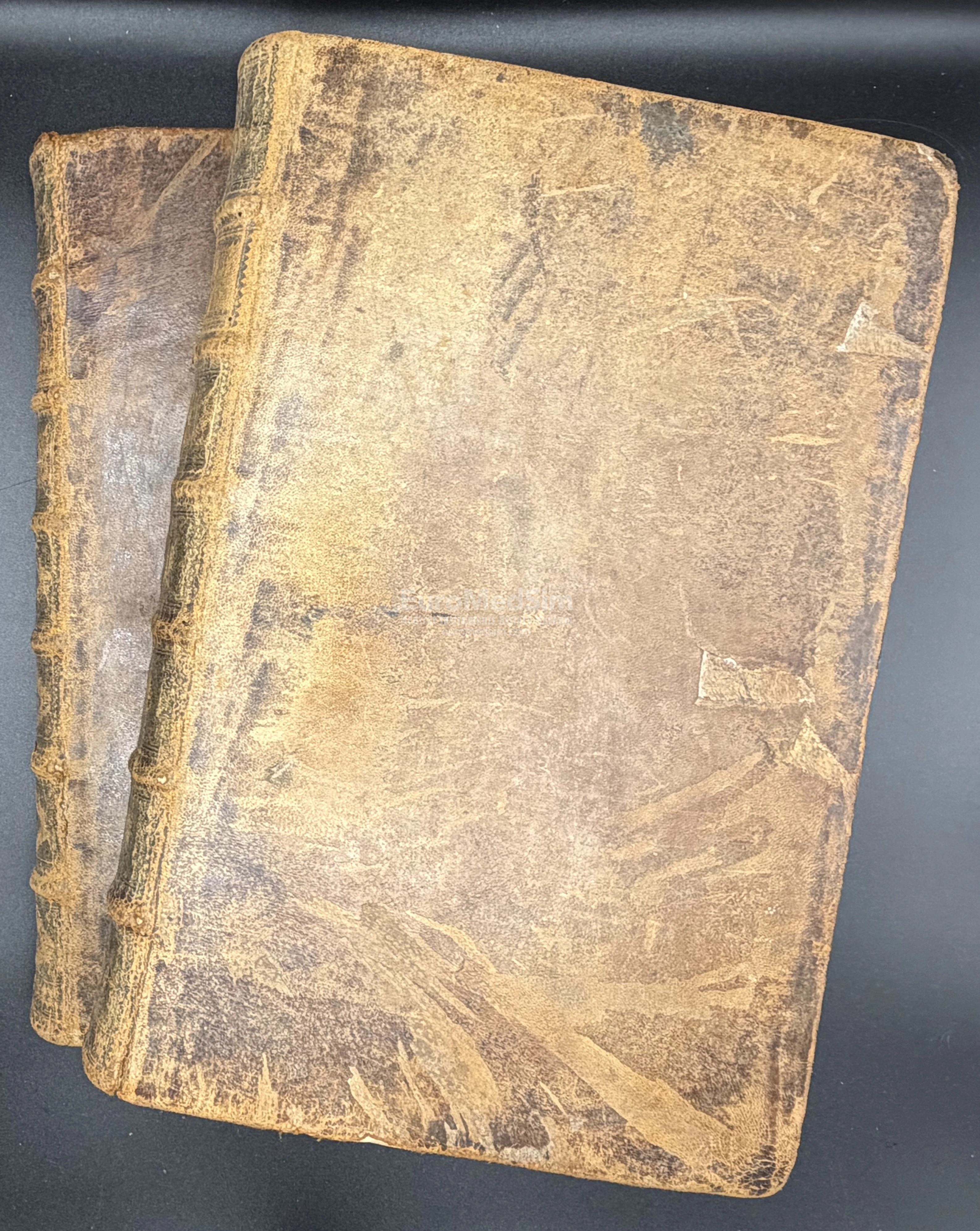 Paracelsus Philippus Theophrastus. Opera ... in 2 volumes. Strassburg, 1603. Сalfskin binding of the period.
