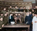 Prof. Pavlov, the students of St. Petersburg Military Medical Academy and experimental dog