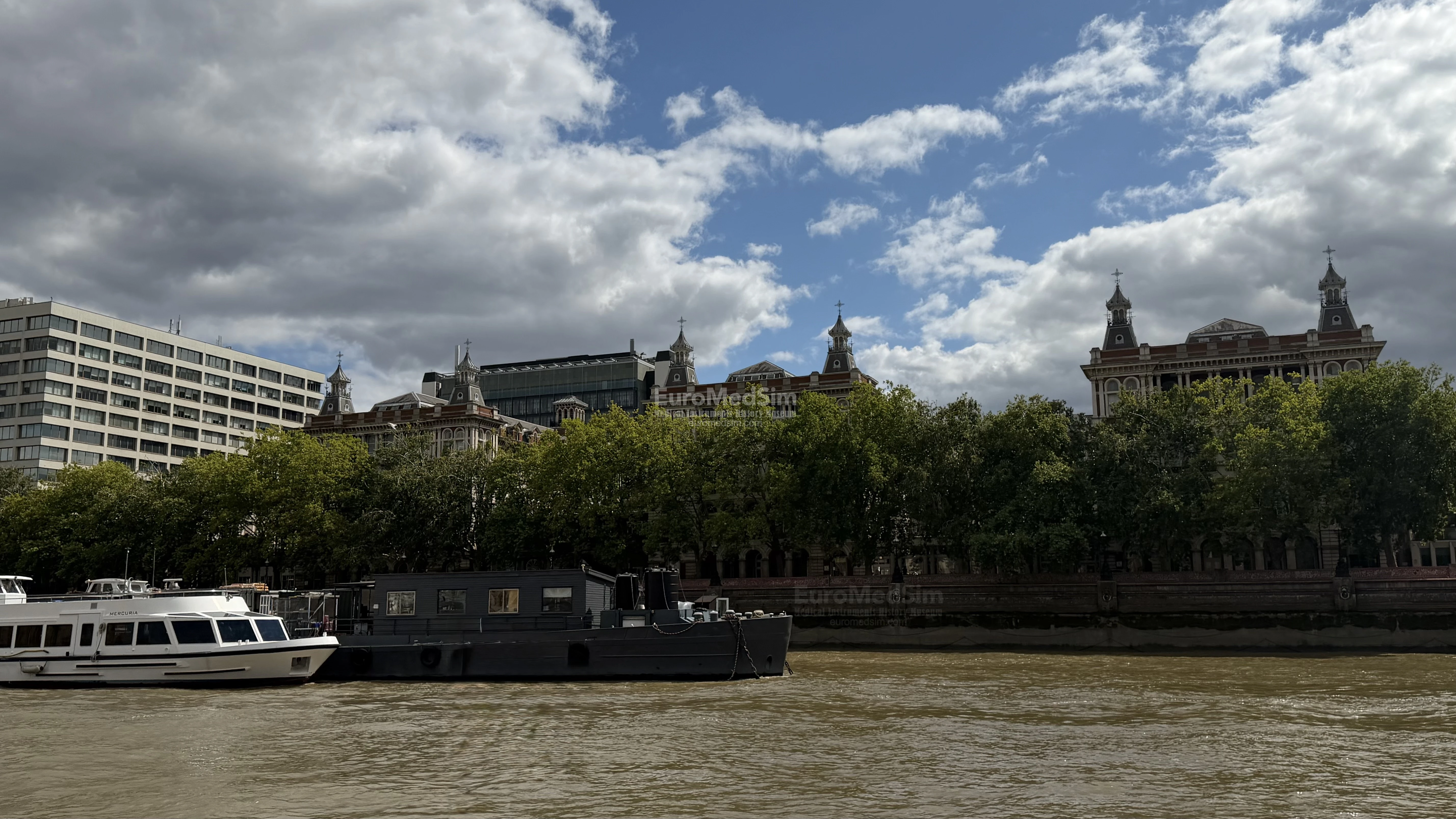 New and historical buildings of the St. Thomas’s Hospital in London, viewed from the River Thames. Ssource: EuroMedSim, 2026