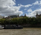 New and historical buildings of the St. Thomas’s Hospital in London, viewed from the River Thames. Ssource: EuroMedSim, 2026