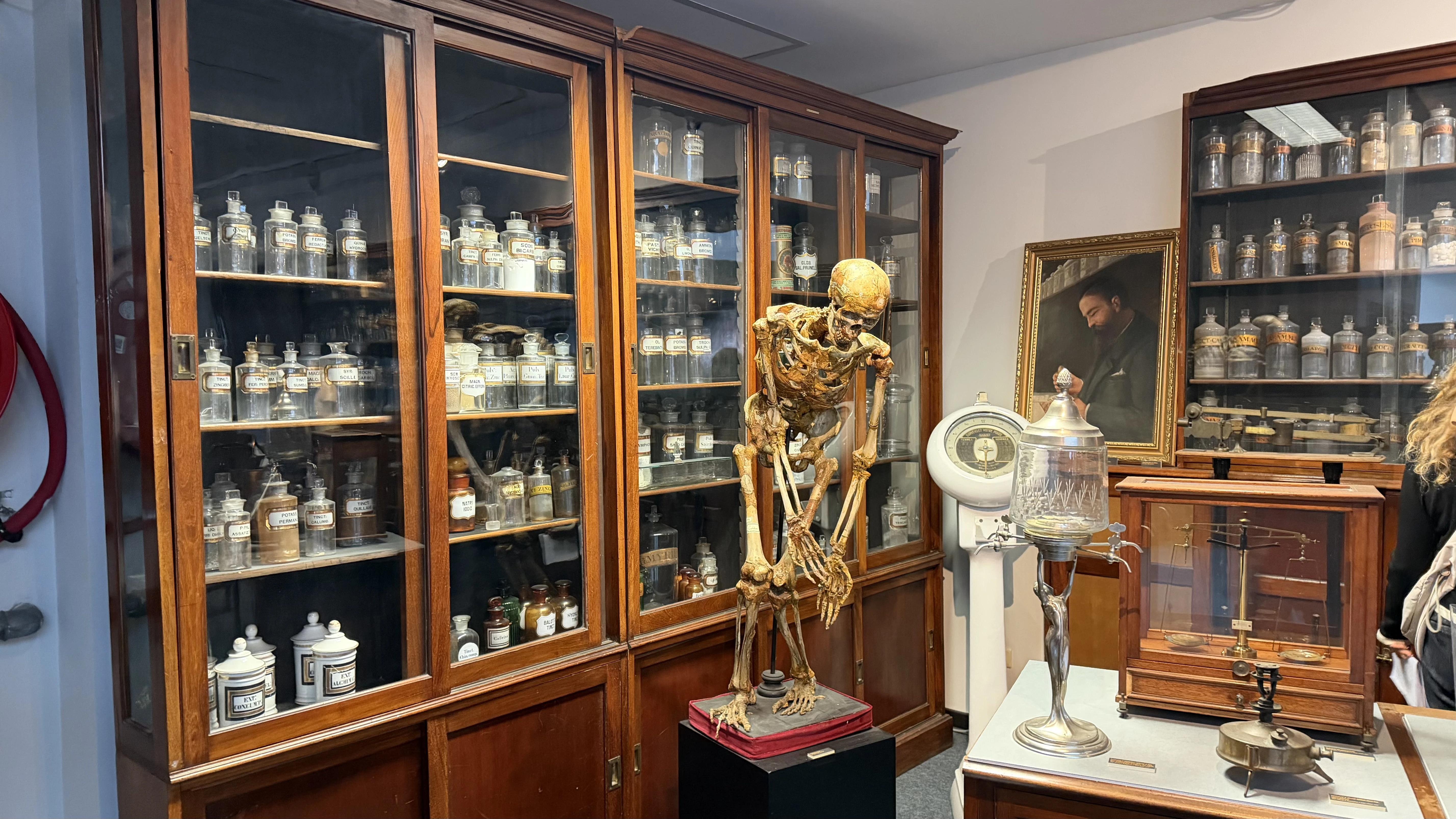 An unusually crafted skeleton against the backdrop of a 200-year-old English pharmacy cabinet containing almost 300 flasks