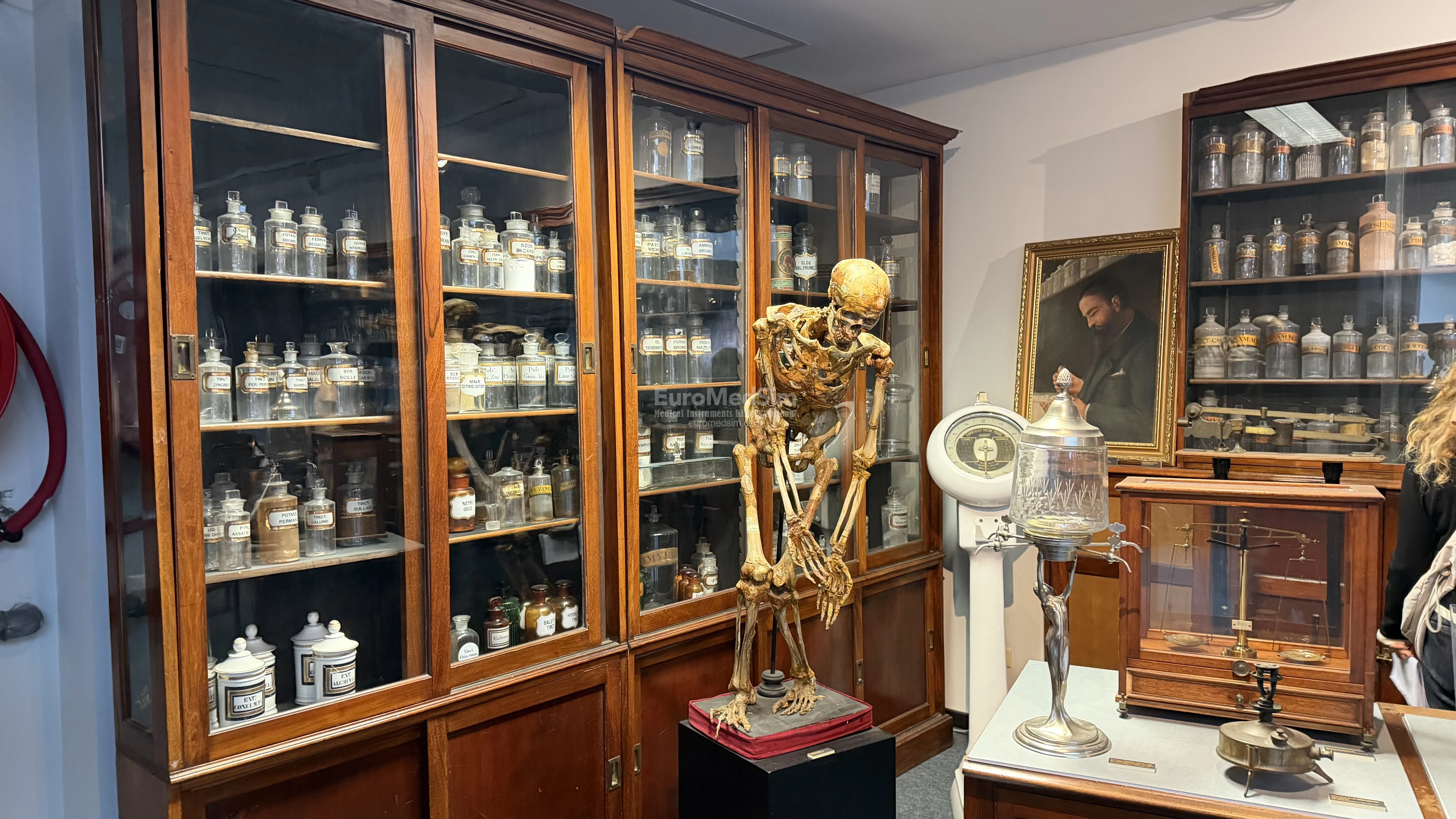 An unusually crafted skeleton against the backdrop of a 200-year-old English pharmacy cabinet containing almost 300 flasks