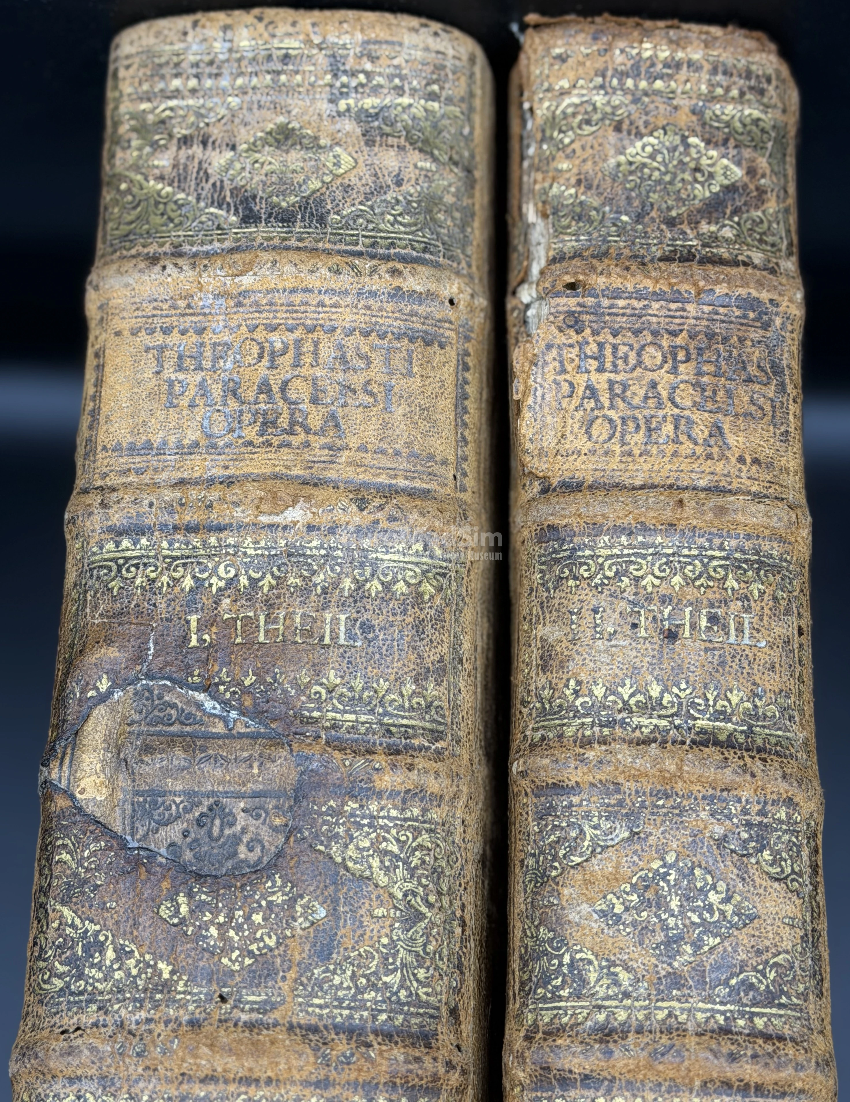 Paracelsus Philippus Theophrastus. Opera ... in 2 volumes. Strassburg, 1603. Leather binding of the period. Embossed gilded spines