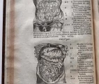 The first book is dedicated to Human Anatomy