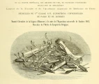 Title of the catalogue of the company Mathieu in Paris (1867). Source: Wellcome Library, London