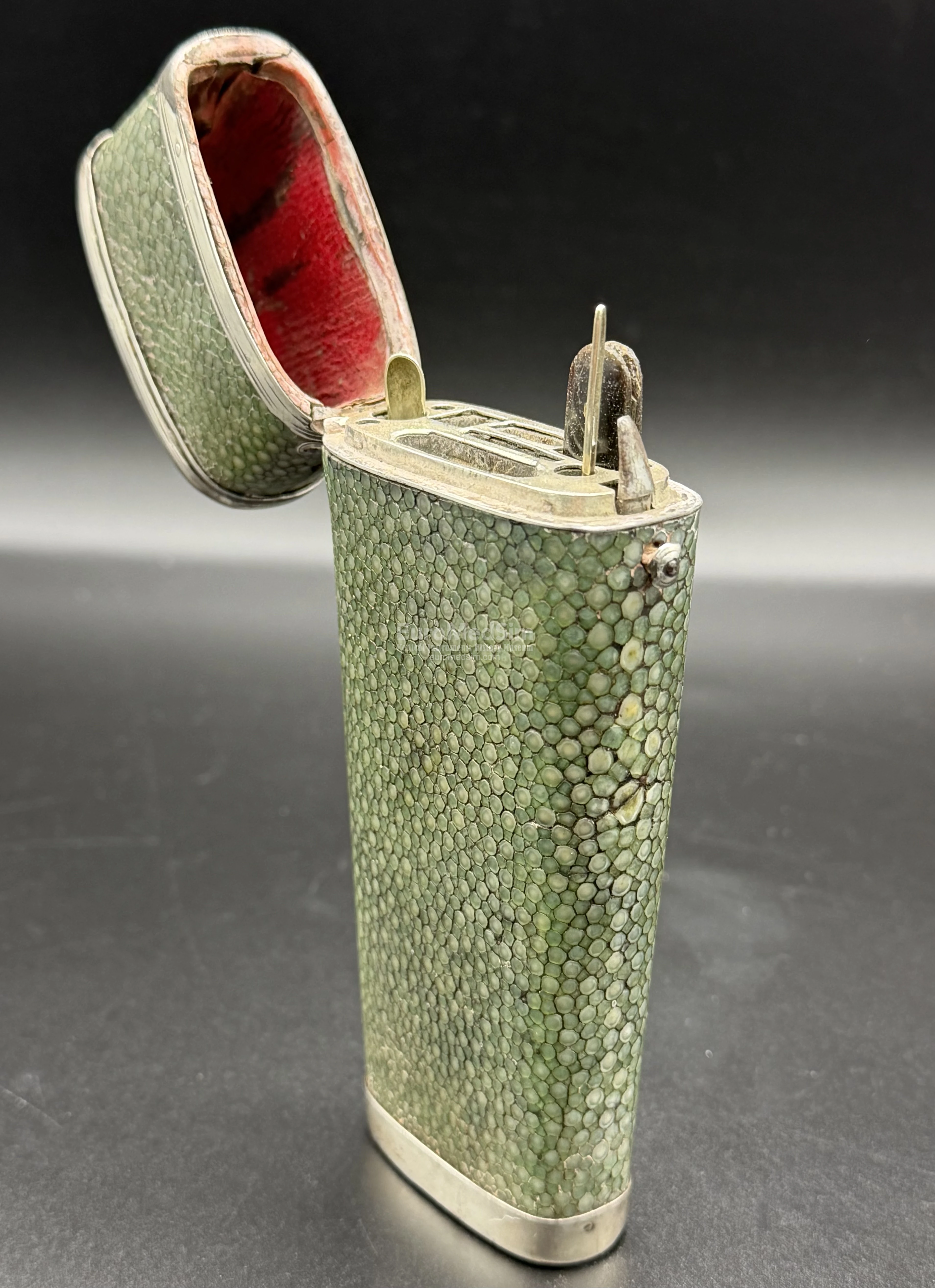 Shagreen Pocket Case for Surgical Instruments, England, c. 1800