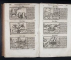First six figures of the Paracelsus’s prophetic cycle, a series of 32 emblematic figures in which images and text form a unified system of prediction and interpretation. Vol. 2, pages 596–597