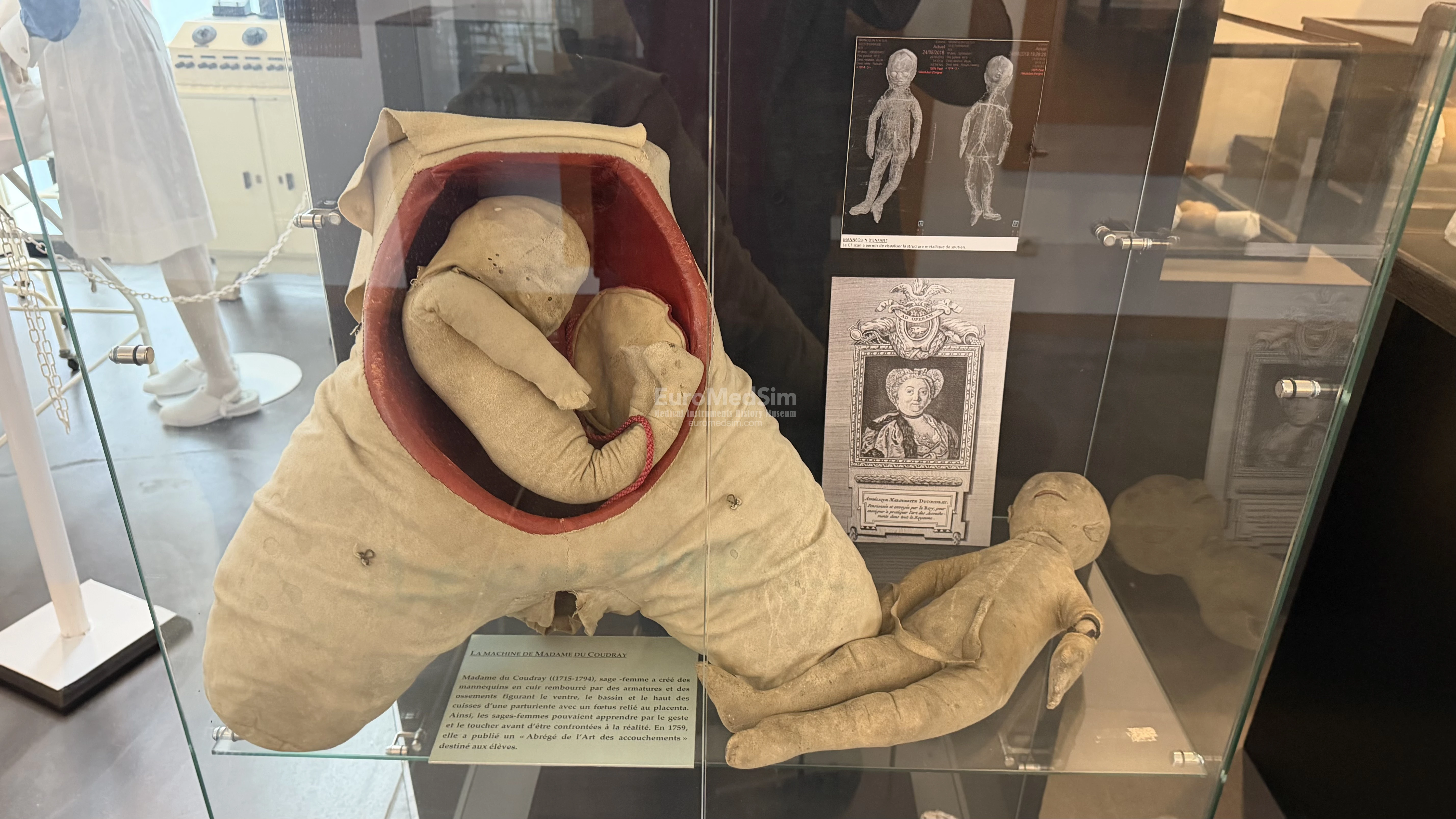 La «machine» of Madame du Coudray (1714–1789), a Parisian midwife, who created a phantom for teaching obstetrics. The only surviving example of the “Machine” (1778) is on display at the Flaubert and History of Medicine Museum in Rouen.