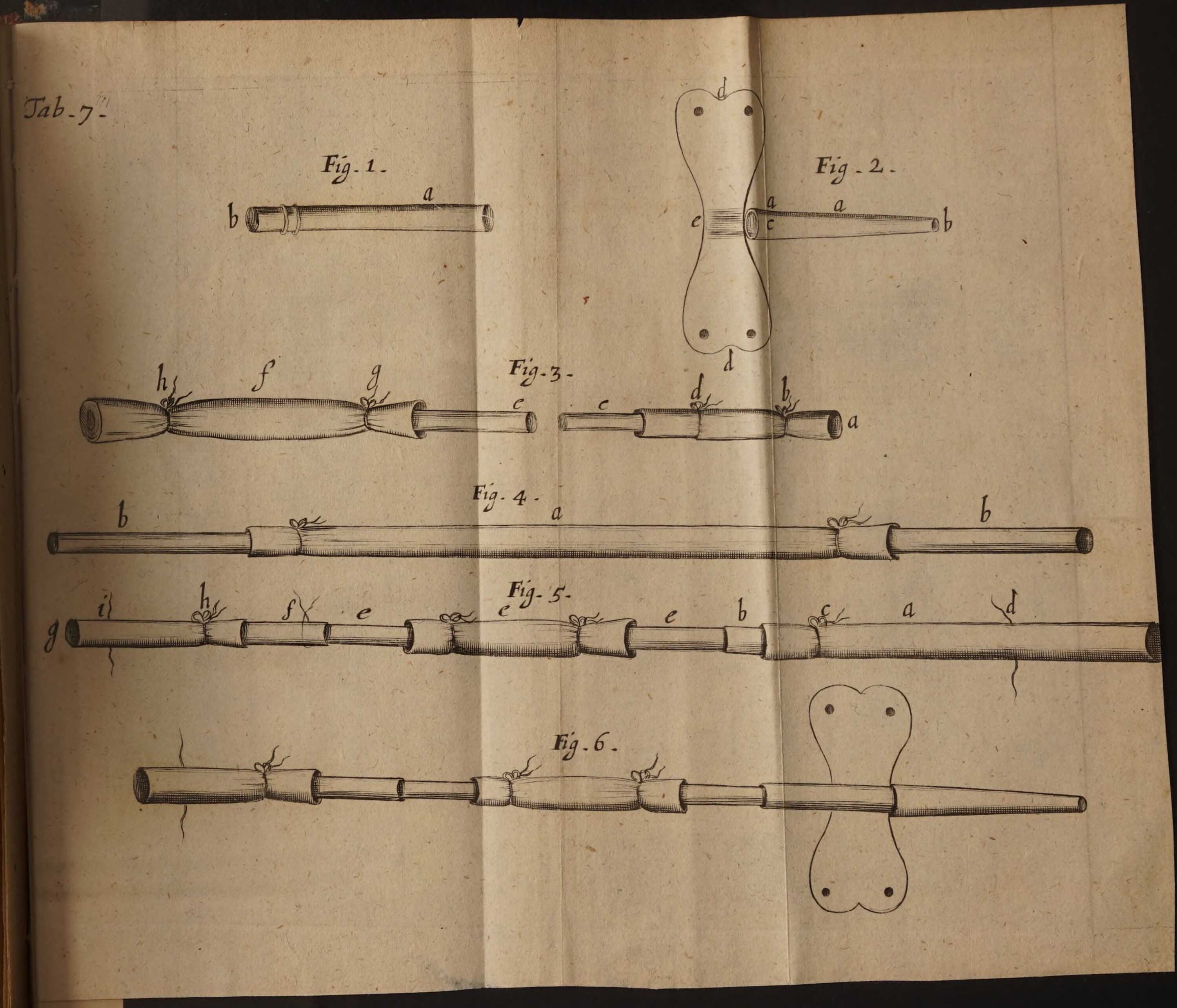 1669 Tractatus de corde. Item de motu & colore sanguinis et chyli in eum transitu - Richard Lower